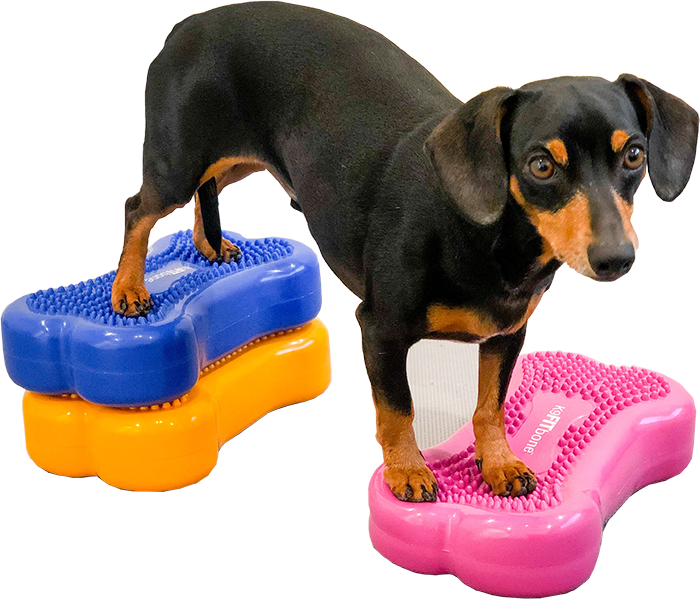 DogPacer LF 3.1 Folding Dog Treadmill
